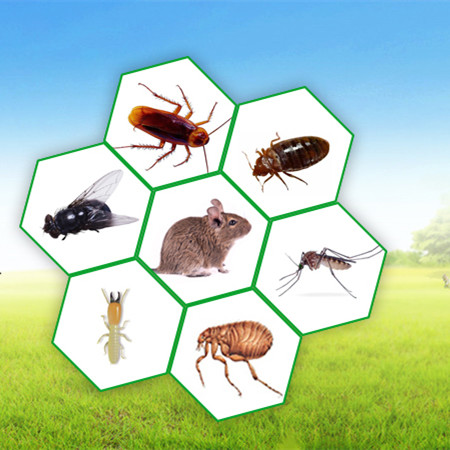 球盟會·qmh(中國)-官方網(wǎng)站