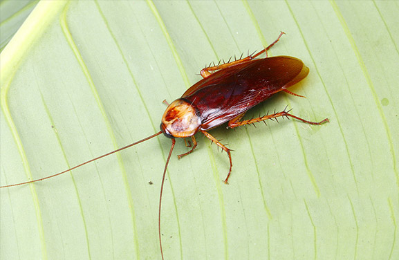 球盟會(huì)·qmh(中國(guó))-官方網(wǎng)站